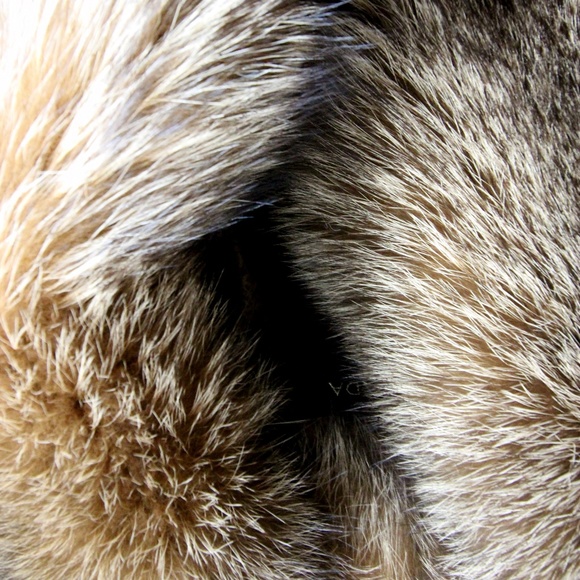 Escada Piacenza Blue-Frost Fox Fur, Camel Jacket - Picture 4 of 8